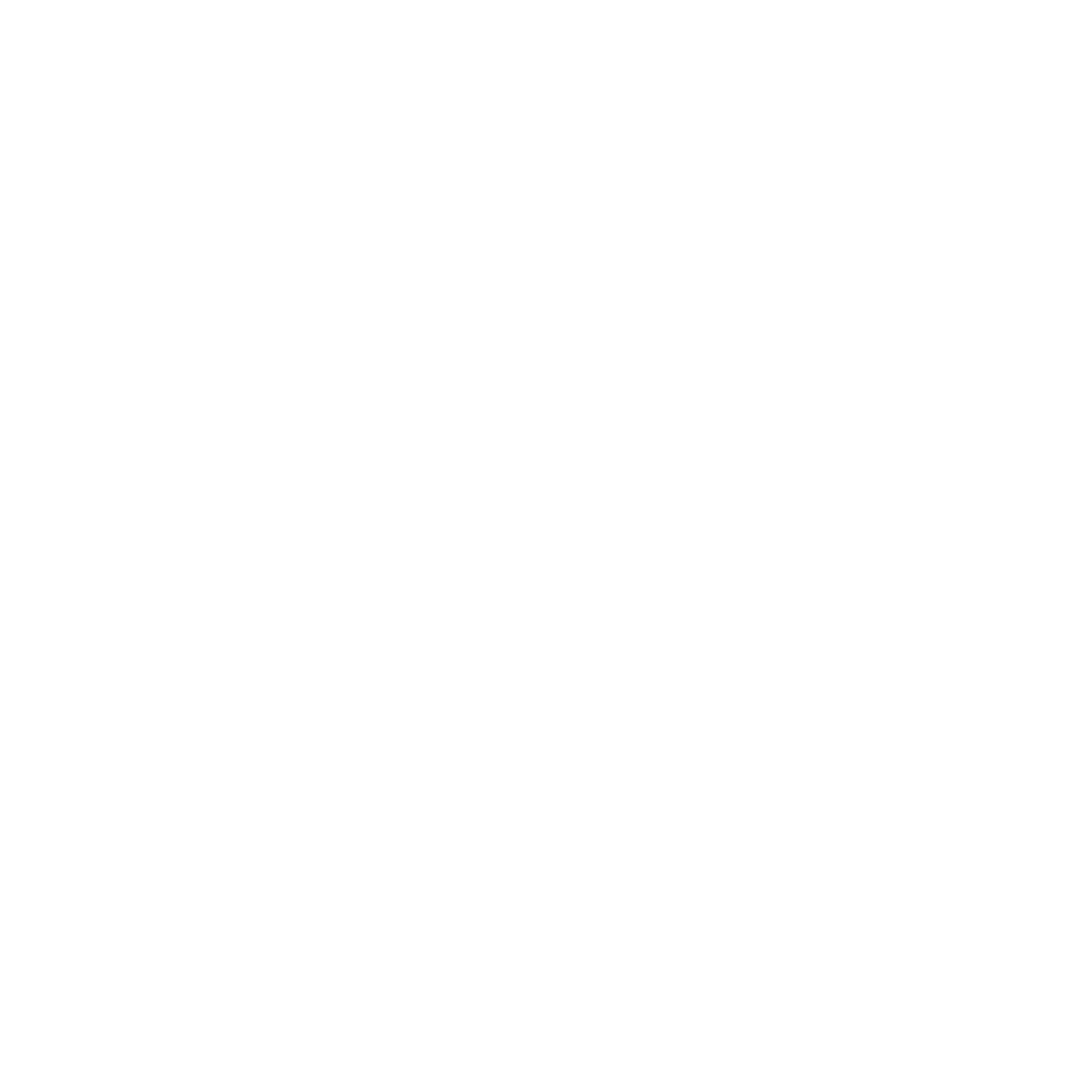 NSS Logo